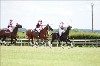 UKPA NC SAT_2532